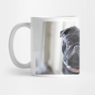 Black Pug Dog Mug